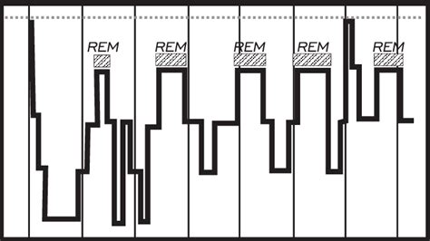 Typical sleep cycle of REM, non-REM sleep | Download Scientific Diagram