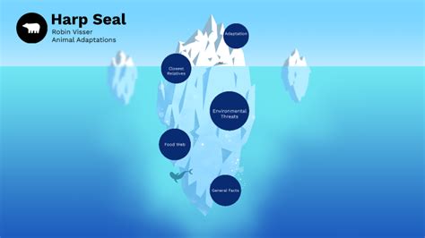 Harp Seal- Animal Adaptations by Robin Visser on Prezi