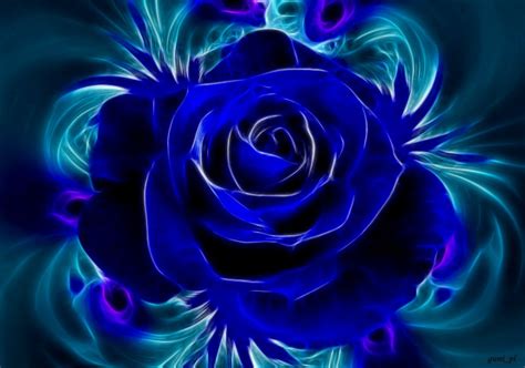 [49+] Blue Rose Backgrounds Wallpapers | WallpaperSafari