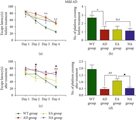 The Morris Water Maze Test In Mild Ad Mice A Escape Latency And B