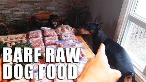 Raw Dog Food Diet Barf For Dogs Vlog Biologically Appropriate