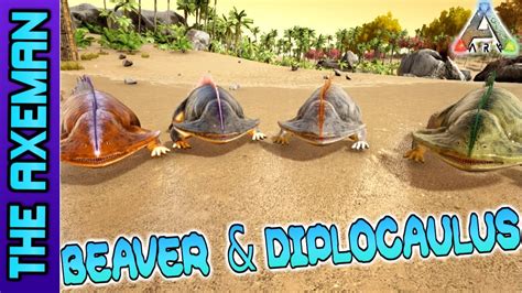 Beaver And Diplocaulus Tamed Ark Survival Evolved [s3 Ep4] Youtube