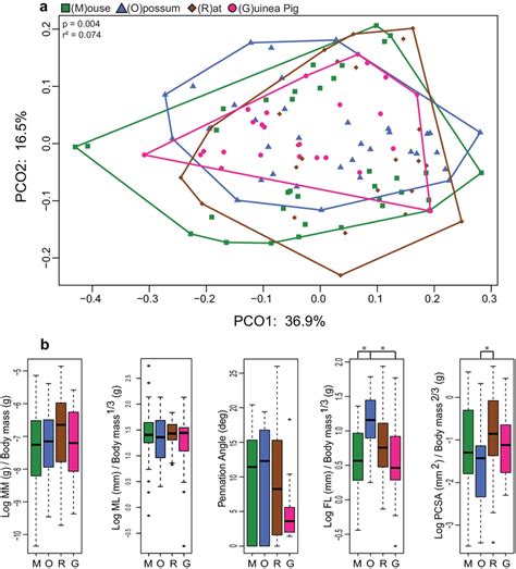 A Principal Coordinate Analysis Pco Of Whole Hindlimb Muscle