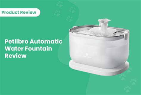 Petlibro Automatic Water Fountain Review Pros Cons Features