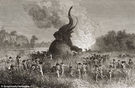 Study finds direct link between hunting and woolly mammoth's extinction ...