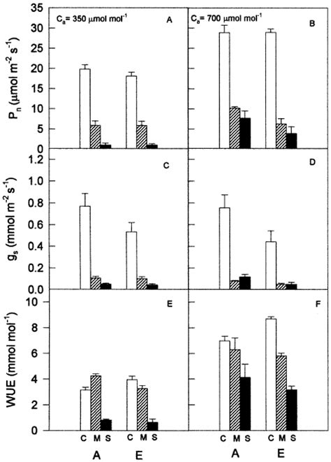 Net Photosynthetic CO 2 Assimilation P N A B Stomatal Conductance