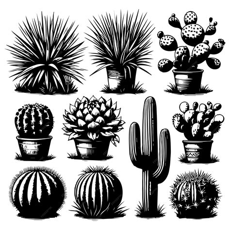 Desert Plants Cacti Vector Illustration Stock Illustration Premium Ai Generated Vector