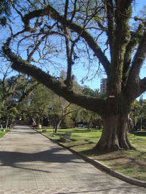 Praça Coronel Pedro Osório Em Pelotas Rs Praça Locais Cidade