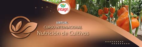 Curso Virtual Nutrición de Cultivos Inicio Intagri S C