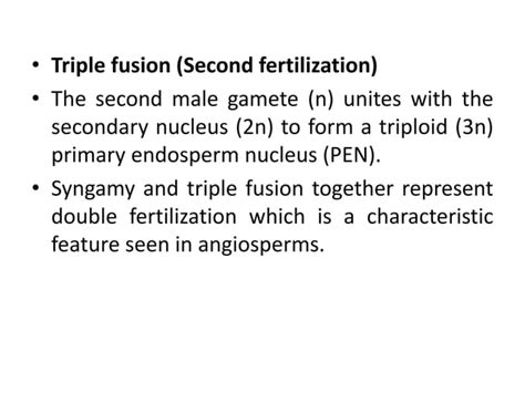 Double Fertilization Ppt