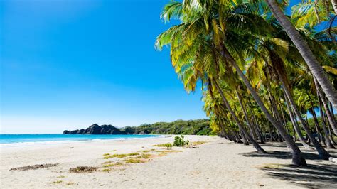 Your Essential Guide to Playa Carrillo, Costa Rica - Bookaway