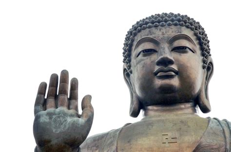 Premium Photo | Big buddha on lantau island