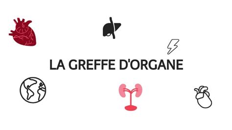 Greffe D Organe