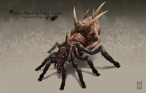 ArtStation - Giant Shelled Tarantula