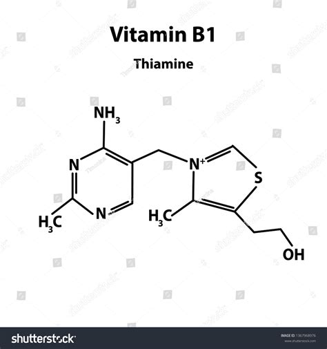 1,375 Vitamin b1 thiamine Images, Stock Photos & Vectors | Shutterstock