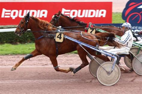 Hardy Des Landes La Fiche Canalturf Du Cheval Performances Pmu