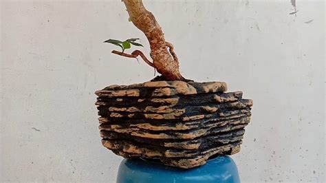 Cara Membuat Pot Bonsai RELIEF YouTube