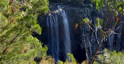 Byron Bay Hinterland: National Park And Waterfalls Tour