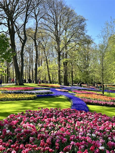 Visiting Keukenhof Gardens, Holland - Cathedrals & Cafes Blog