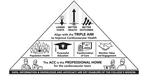 Acc Strategic Plan Triangle On Behance