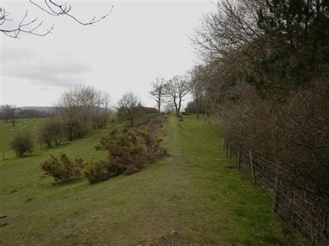 A Walk Amongst The Stones Stane Street Roman Road West Sussex