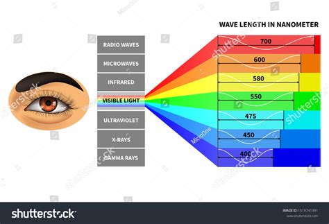 Visible Light Spectrum Color Waves Length Stock Illustration 1519741391 | Shutterstock