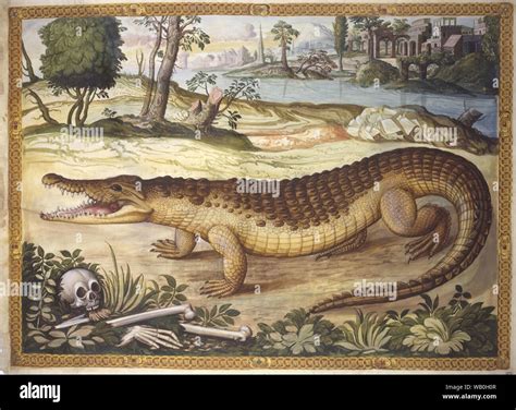 vintage crocodile illustration Stock Photo - Alamy