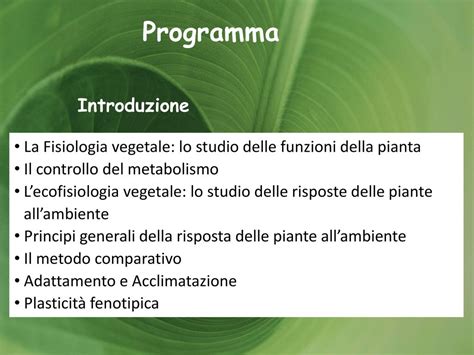 Ecofisiologia Vegetale Ppt Scaricare