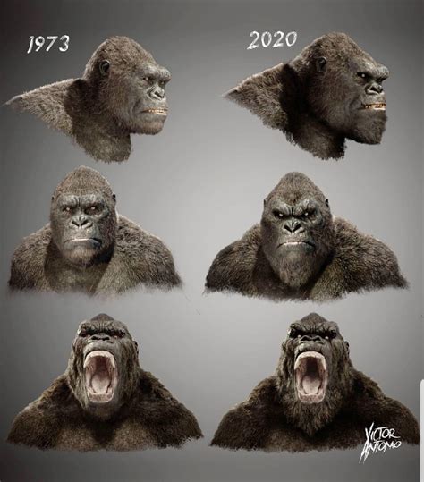 Visual comparison of the new Kong from Godzilla vs. Kong (2020) and ...