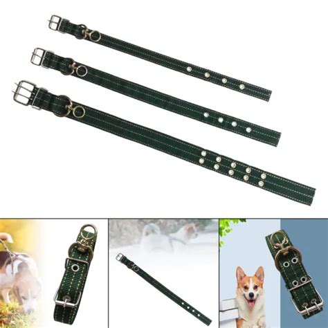 Collier Pour Chien Avec Boucle En M Tal Robuste Pour Les Amoureux Des