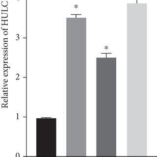 Lncrna Hulc Expression Was Increased In Osteosarcoma Tissue And Cells