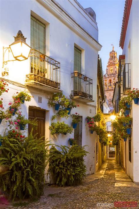 Alley With Walls Decorated With Flowers Cordoba Andalusia Spain