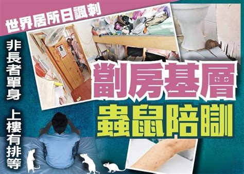 東方日報a1：劏房基層 蟲鼠陪瞓｜即時新聞｜港澳｜oncc東網