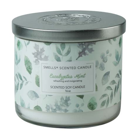 Smells Eucalyptus Mint Wick Scented Candle Oz Walmart