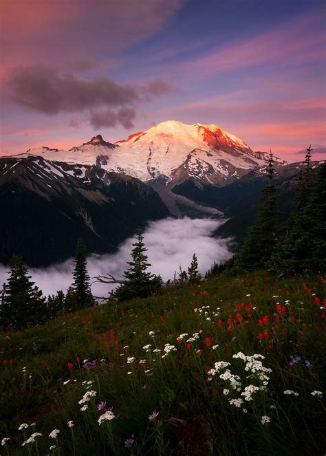 Sunrise over Mount Rainier photo | Nature photography, Pretty ...