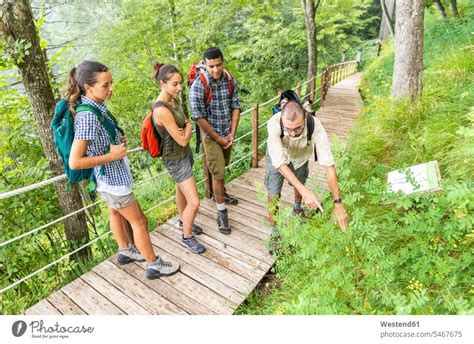 Italien Massa Biologe erklärt Infos zur lokalen Flora in den Alpi