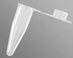 RSC EStore Axygen 0 2 ML Thin Wall PCR Tubes With Flat Cap Clear