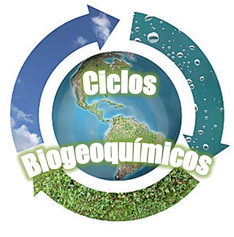 Qu Son Los Ciclos Biogeoquimicos Los Ciclos Biogeoqu Micos