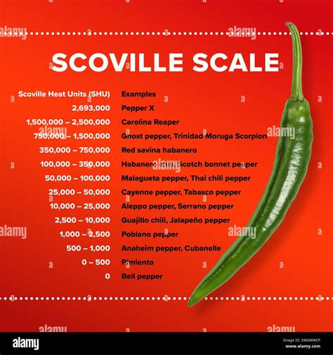 Mesa con escala Scoville para los chiles más populares Unidades de