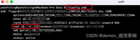 Mac 查看本机 Ipmac查询ip地址命令 Csdn博客