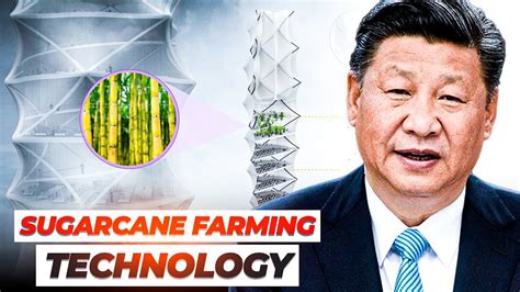 Chinas Sustainable Sugarcane Farming Technology Will Shock You Youtube