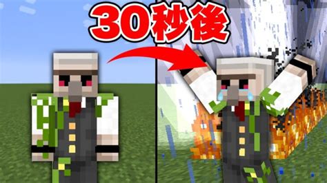 【マイクラ】『30秒ごとに殺される世界』を『ハードコア』で生き残ったった【データパック】 Minecraft Summary マイクラ動画