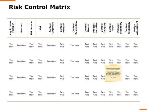 risk control matrix process   powerpoint