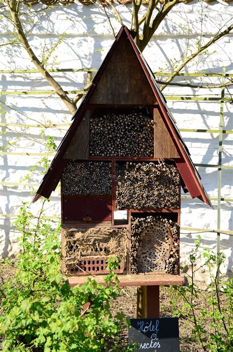 Hopital Notre Dame A La Rose Lessines An Insect Hotel In Flickr