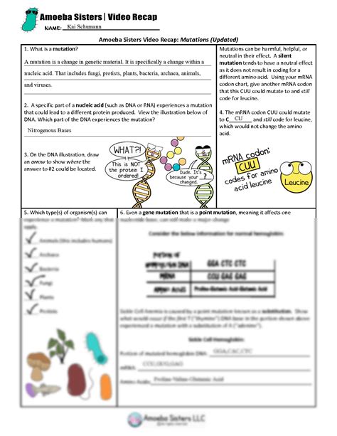 Amoeba Sisters Mutations Worksheet