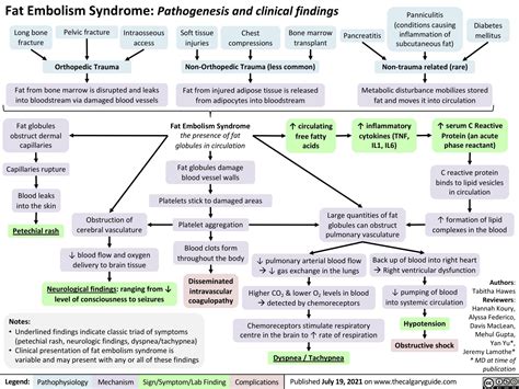 Fat Embolism Syndrome Pathogenesis And Clinical Findings Calgary Guide