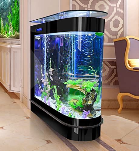 Top 10 1000 Gallon Fish Tank of 2022 - Katynel