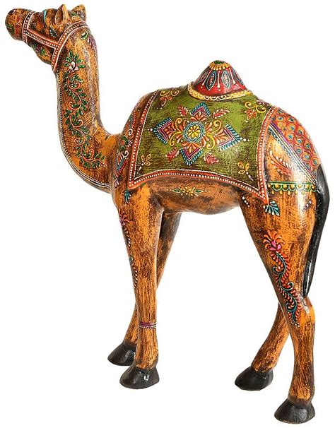 Camel from Rajasthan