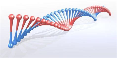 法医物证鉴定 主要技术 Dna定量 知乎