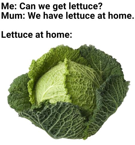 hmm yes the lettuce here is made out of cabbage : r/all_meme